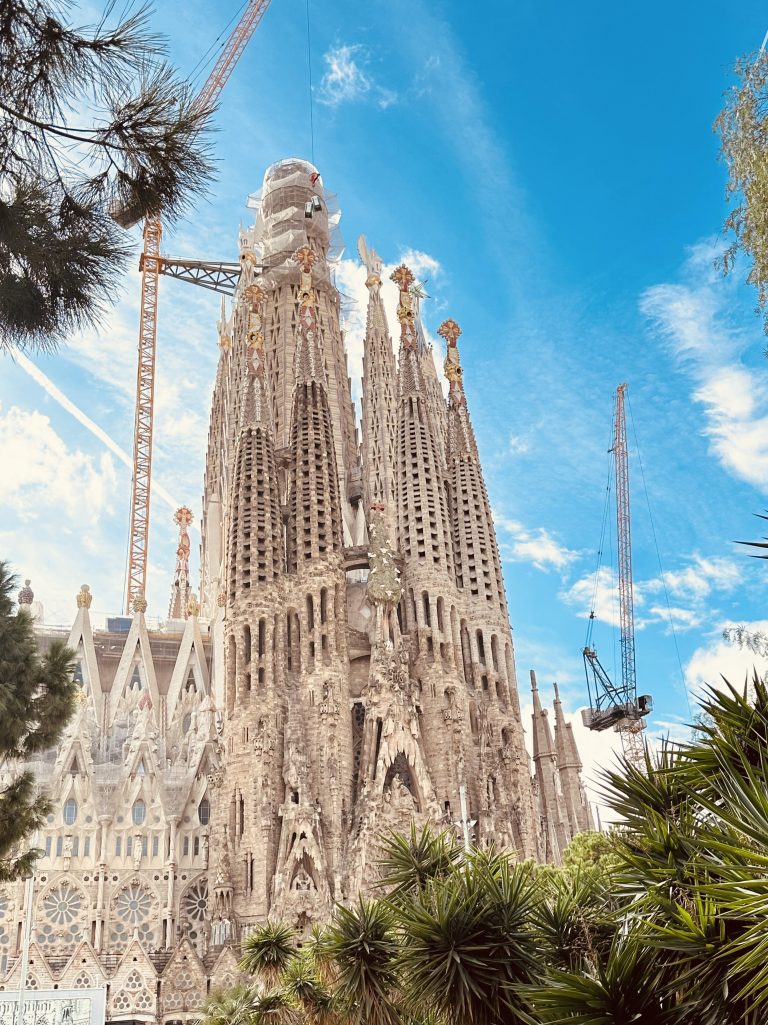 The Mission of Light: The Birth of Mandy and GLORYSTAR Featured Image